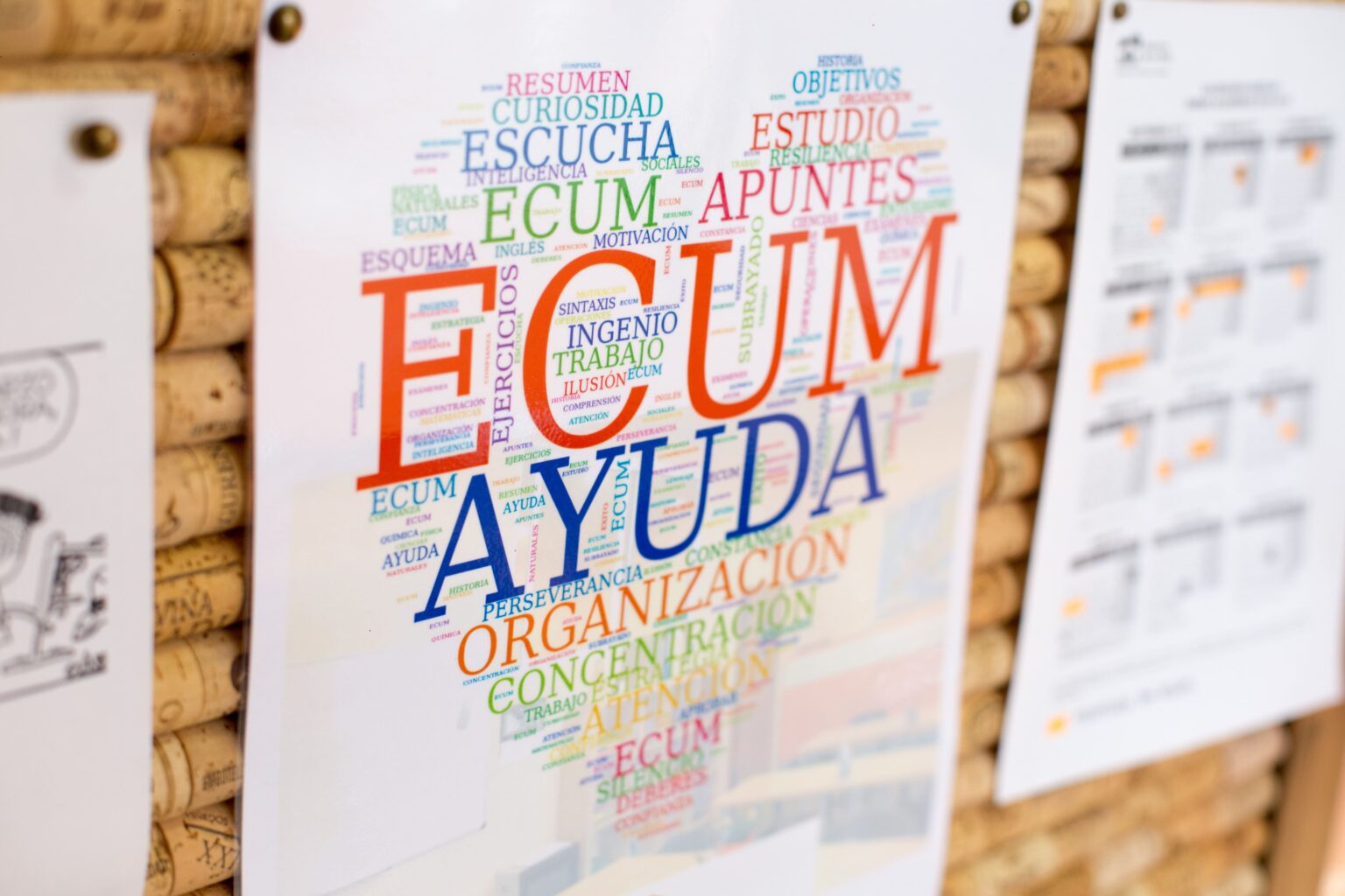 Ecum Formación: Refuerzo escolar con más de veinte años de experiencia