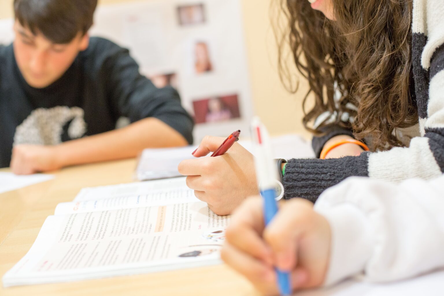 Clases de apoyo para mejores notas en Navarrete